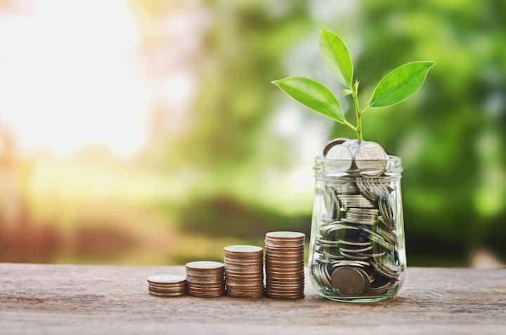 Plant,Growing,On,Coins,Glass,Jar,And,Concept,Money in Gardner